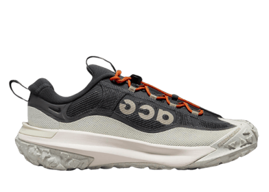 Nike ACG Mountain Fly 2 Low GTX Dark Smoke Grey Light Orewood Brown