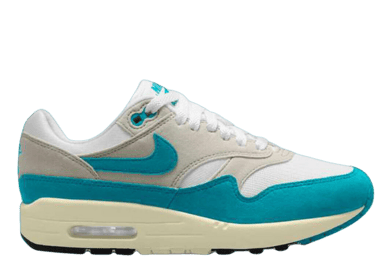 Nike Air Max 1 Dusty Cactus (W)