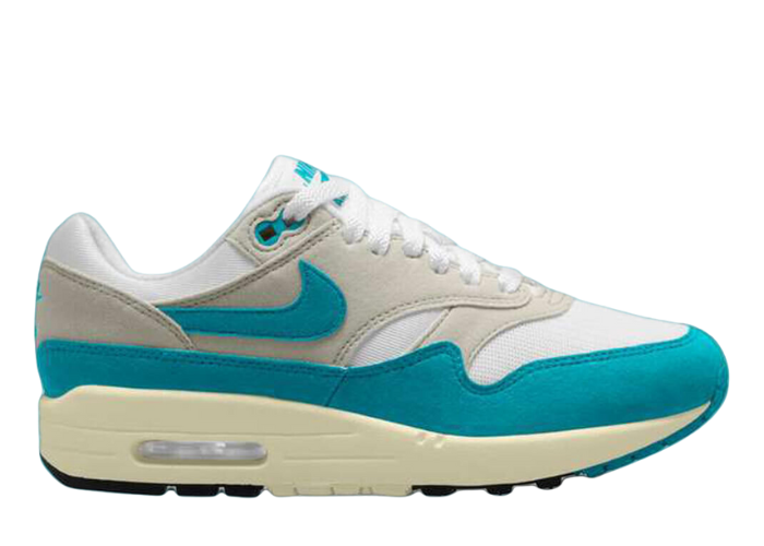 Nike Air Max 1 Dusty Cactus (W)