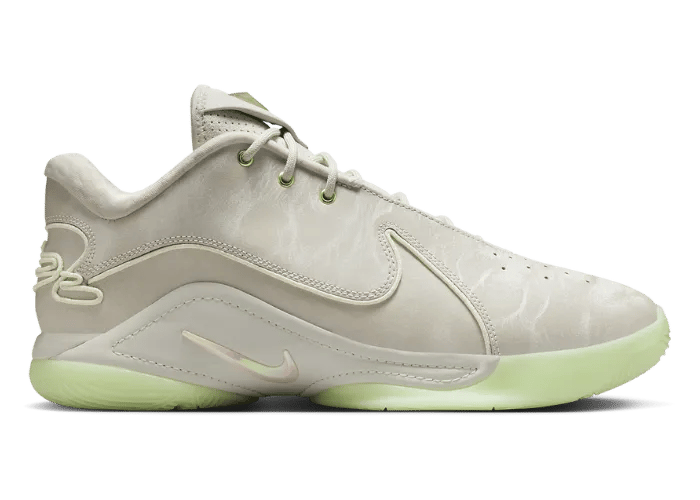 Nike LeBron 22 Dunkman