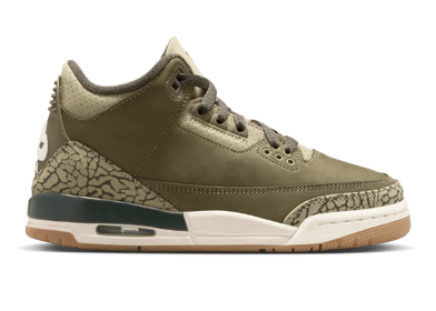 Air Jordan 3 Retro Family Affair