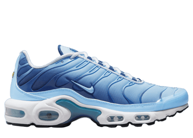 Nike Air Max Plus University Blue White