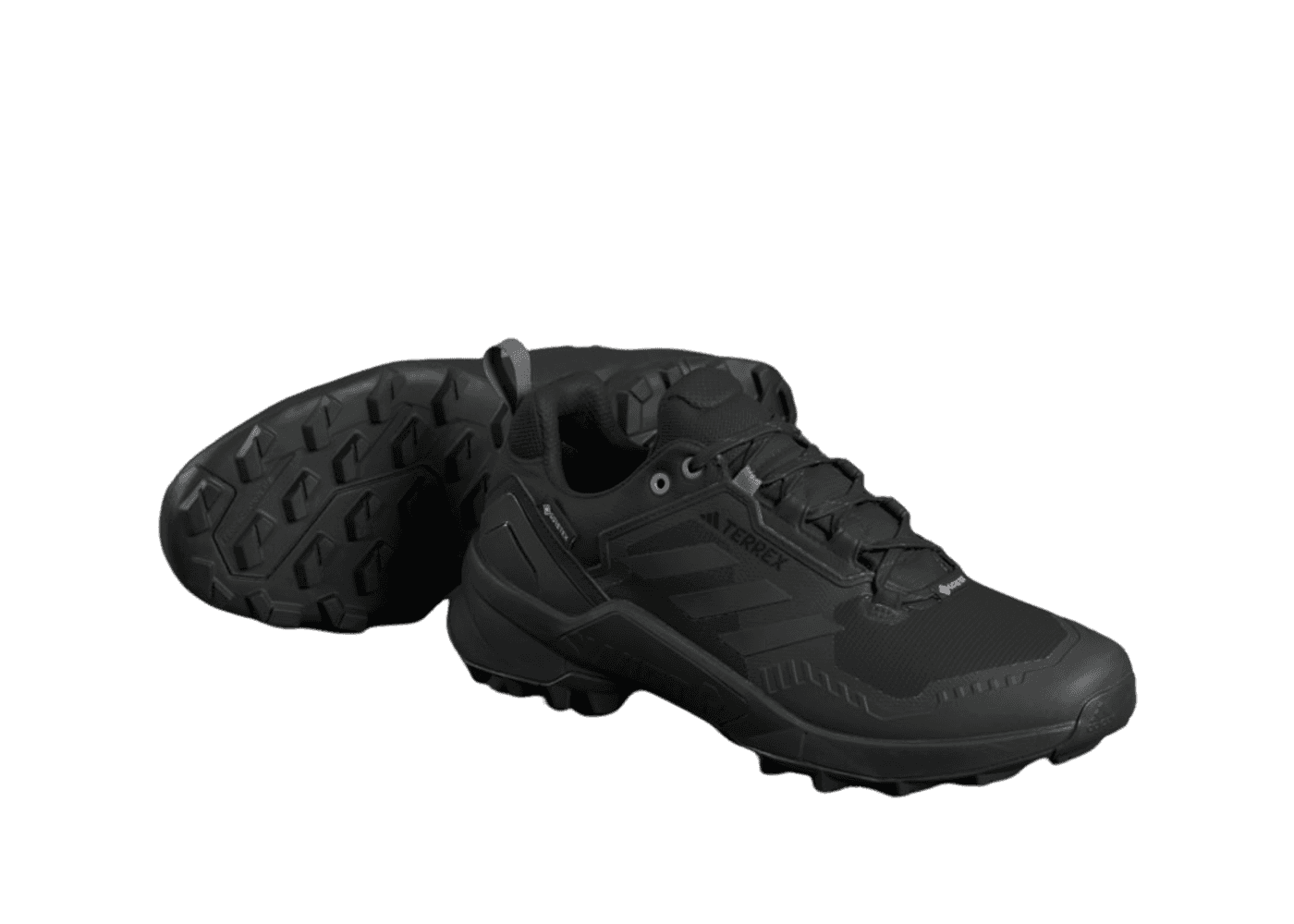 adidas TERREX SWIFT R3 GTX