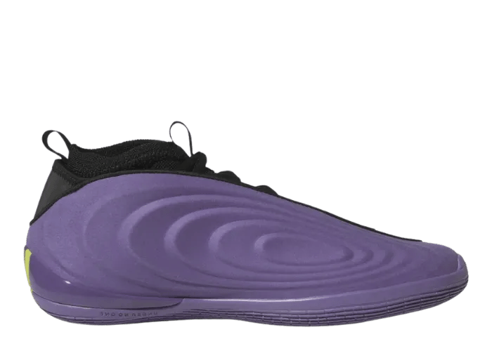 adidas Harden Vol. 10 Tech Purple