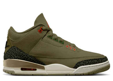 Air Jordan 3 Retro Family Affair