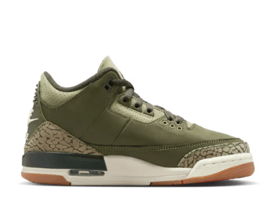 Air Jordan 3 Retro Family Affair (GS)