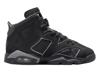 Air Jordan 6 Retro Cap and Gown (GS)