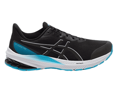 ASICS GT-1000 12 Lite-Show Black Pure Silver (W)