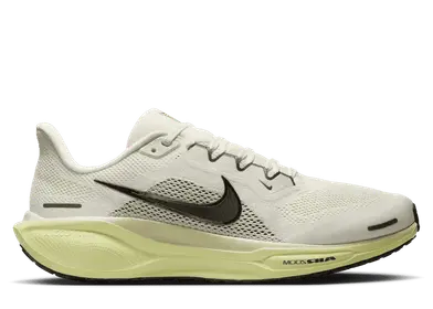 Nike Pegasus 41 Road