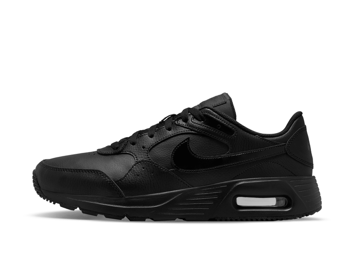 Nike Air Max SC Leather Shoes