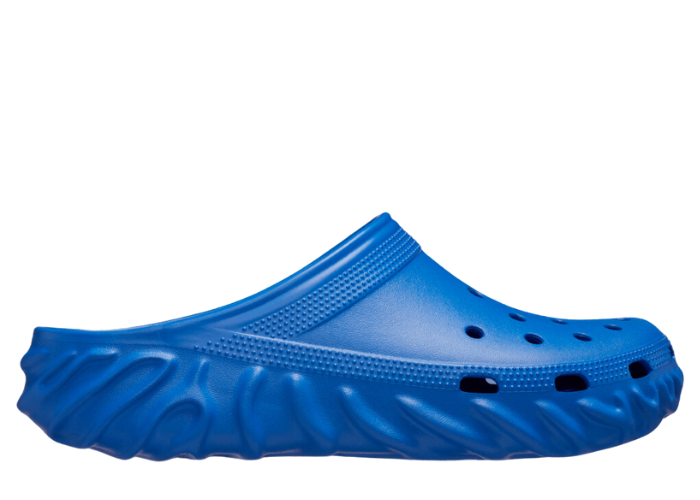 Pollex Release Dates 2025 - Updated in Real Time