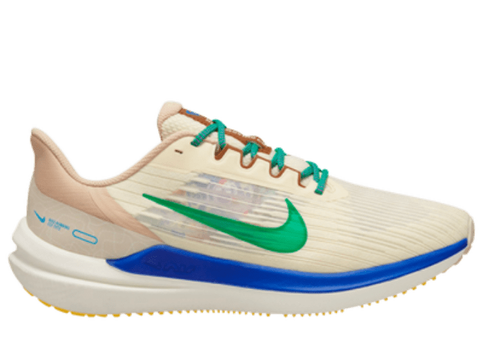 Nike Winflo 9 Premium Nike Moving Company