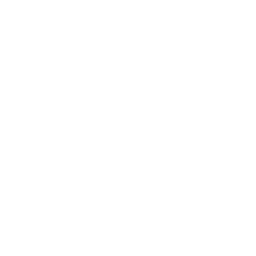 Golden Goose Logo