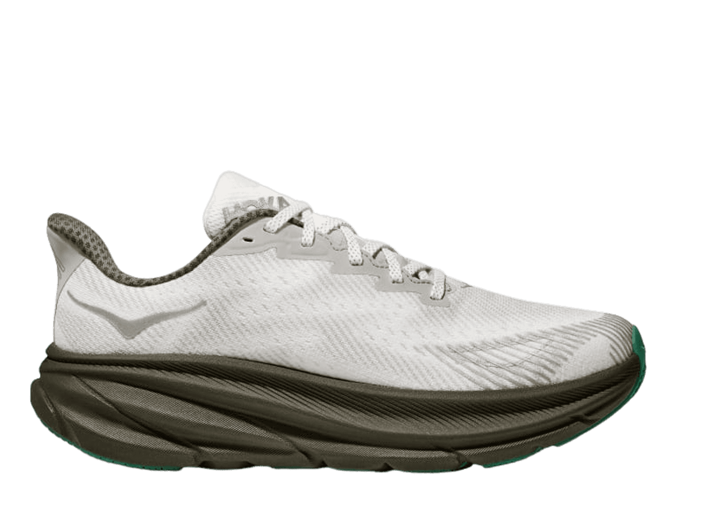 Hoka One One Clifton 9 GORE-TEX 'Stealth Tech'