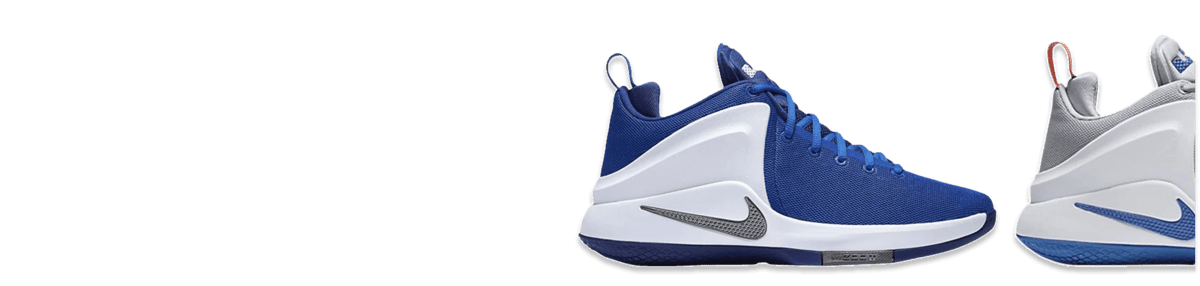 Nike LeBron Witness shoes