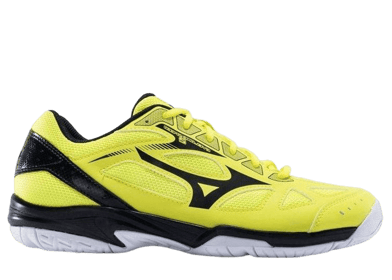 Mizuno Cyclone Speed 2
