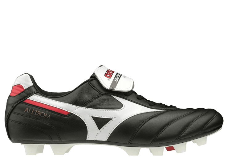Mizuno Japan