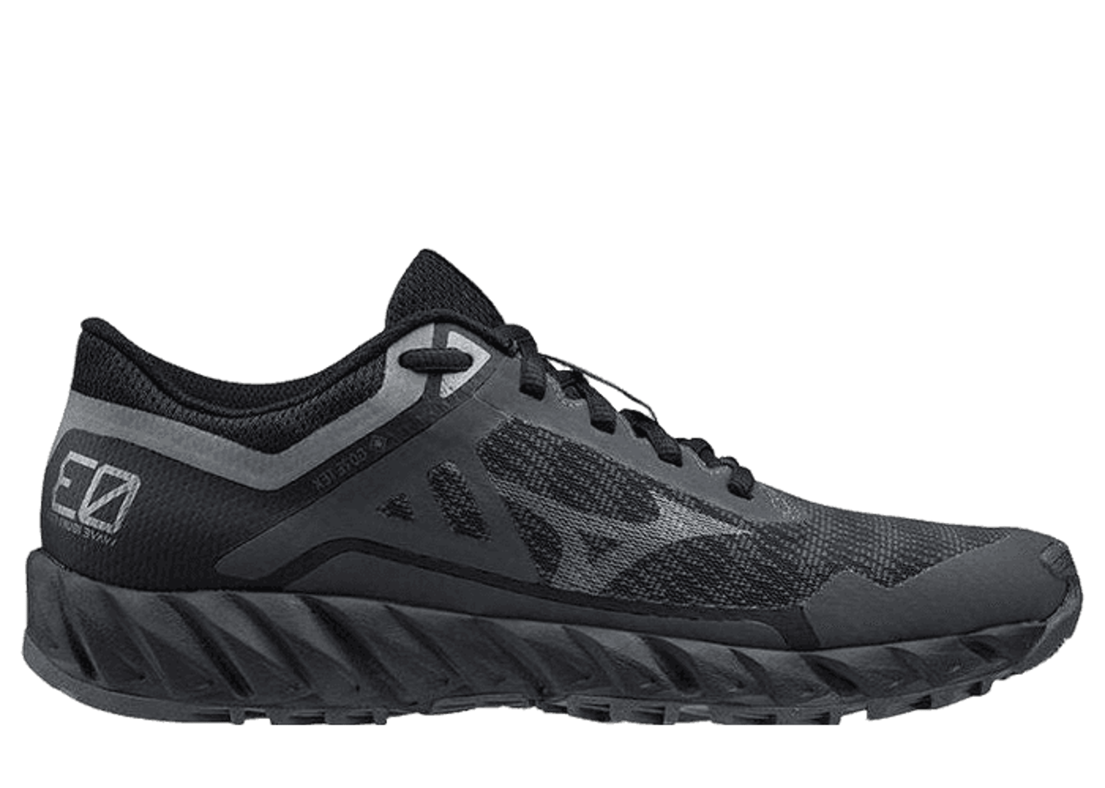 Mizuno Wave Ibuki 3 GTX Black (W)