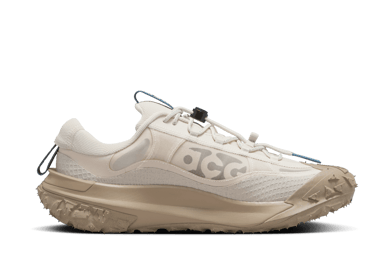Nike ACG Mountain Fly 2 Low