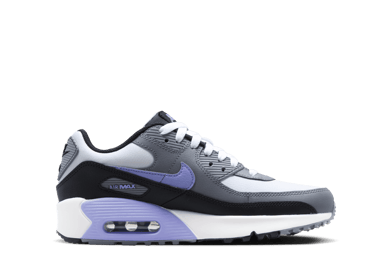 Nike Air Max 90 Leather 'Light Thistle' (GS)