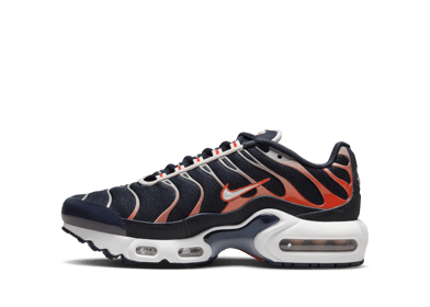 Nike Air Max Plus Big Kids'