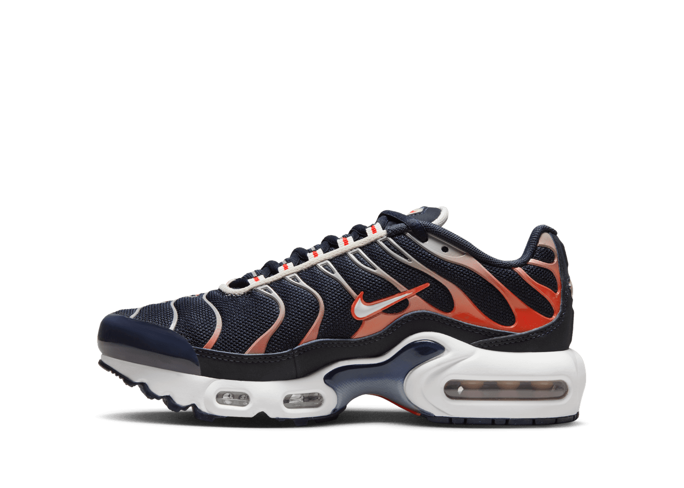 Nike Air Max Plus Big Kids'