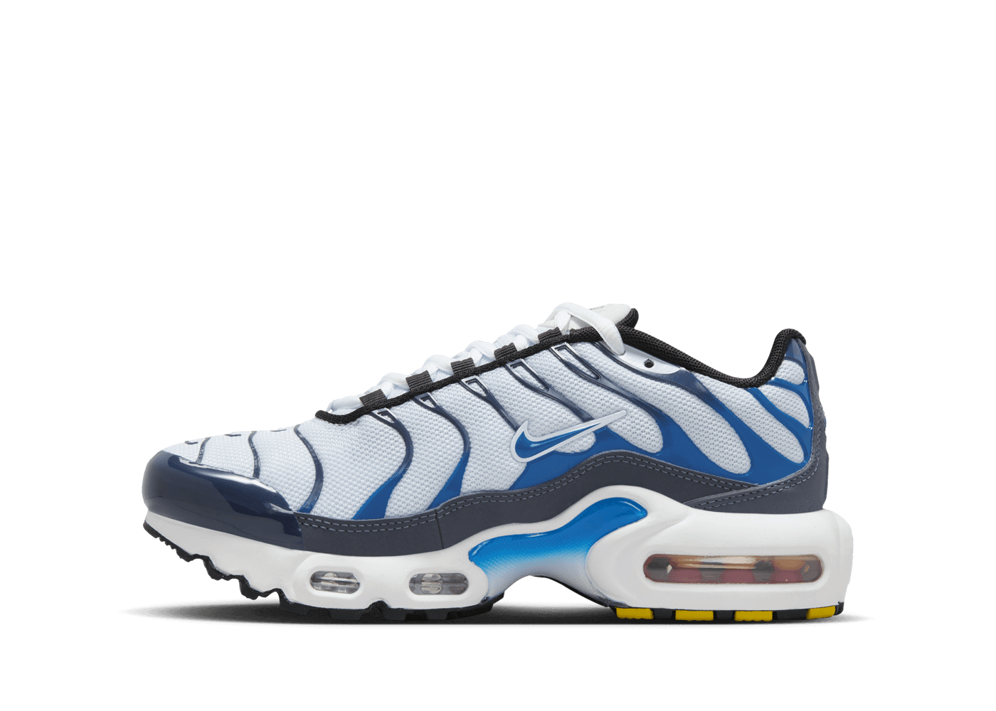 Nike Air Max Plus Big Kids'