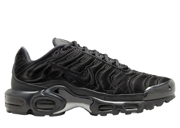 Nike Air Max Plus Black Anthracite - FV1169-001 Release Info