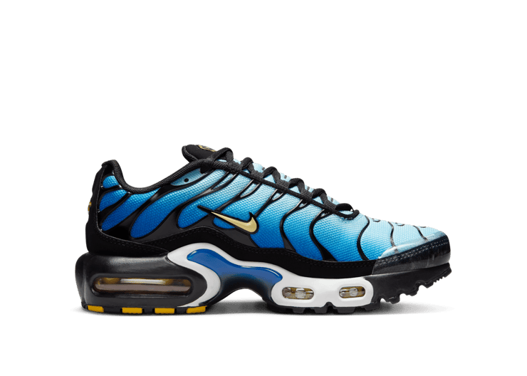 Nike Air Max Plus TN 青黒 NIKE AIR MAX PLUS TN (GS) SMOKE GREY BLUE CD0609-019 YOUTH