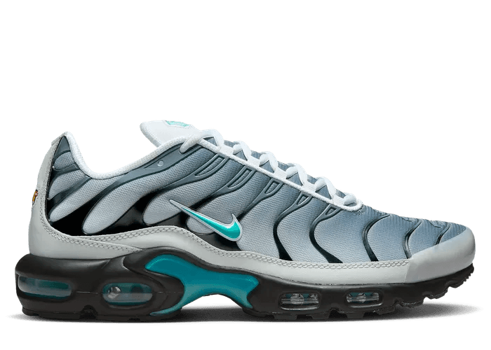 Nike Air Max Plus One Block Down Matte Silver - FZ3308-001 Release