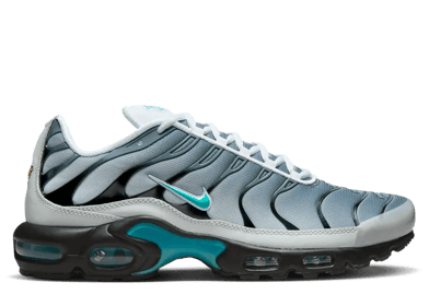 Nike Air Max Plus One Block Down Matte Silver