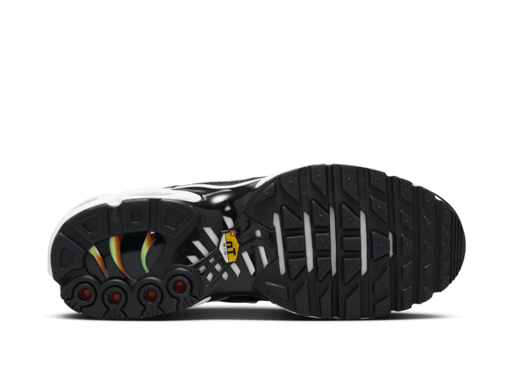 Nike Air Max Plus 'Rainbow' (W)