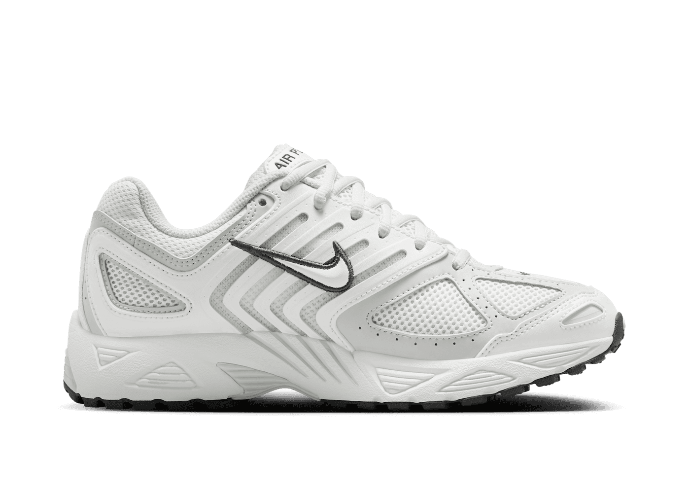 Nike Air Pegasus 2005