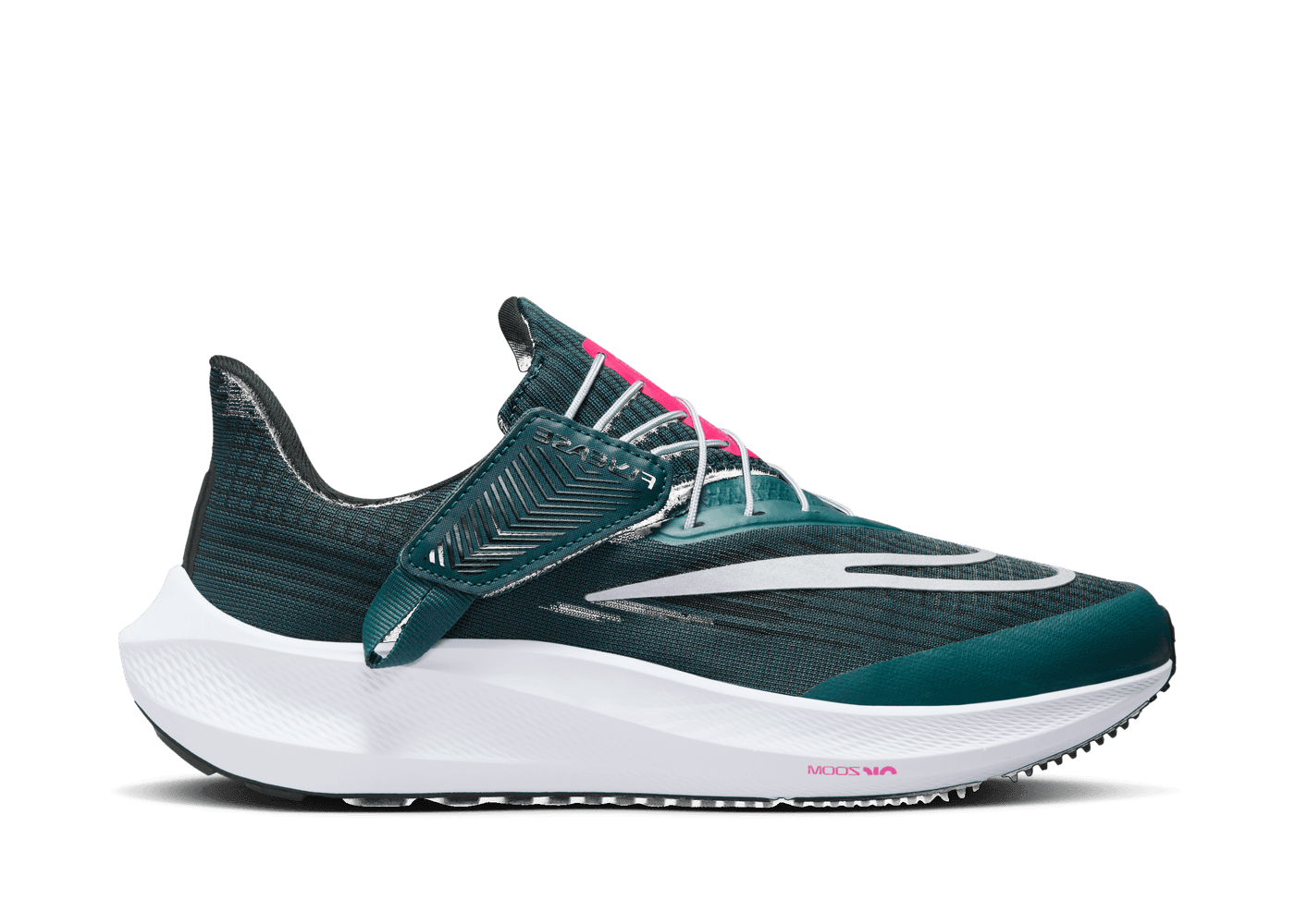 Nike Air Zoom Pegasus 39 FlyEase 'Deep Jungle Metallic Silver' (W)