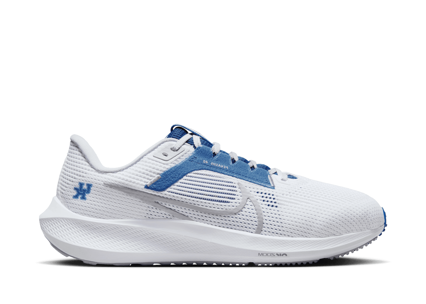 Nike Air Zoom Pegasus 40 'Kentucky'