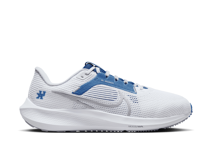Nike Air Zoom Pegasus 40 'Kentucky'