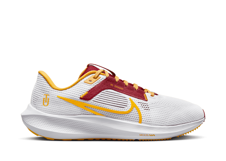 Nike Air Zoom Pegasus 40 'Tuskegee'