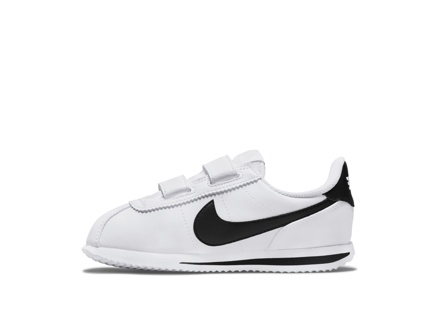 cortez basic sl