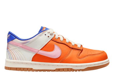 Nike Dunk Low SE Everything You Need (GS)