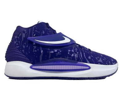 Nike KD 14 TB Court Purple