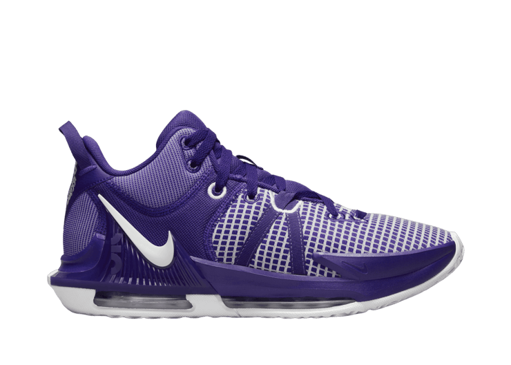 Nike LeBron Witness TB 'Court Purple' DZ3299-500
