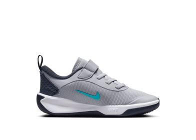 Nike Omni Multi-Court