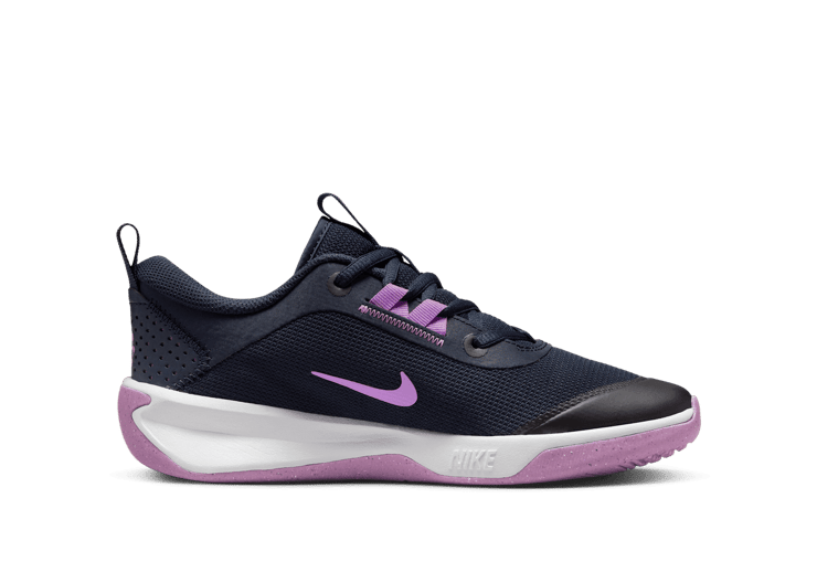 Nike Omni Multi-Court Indoor Court