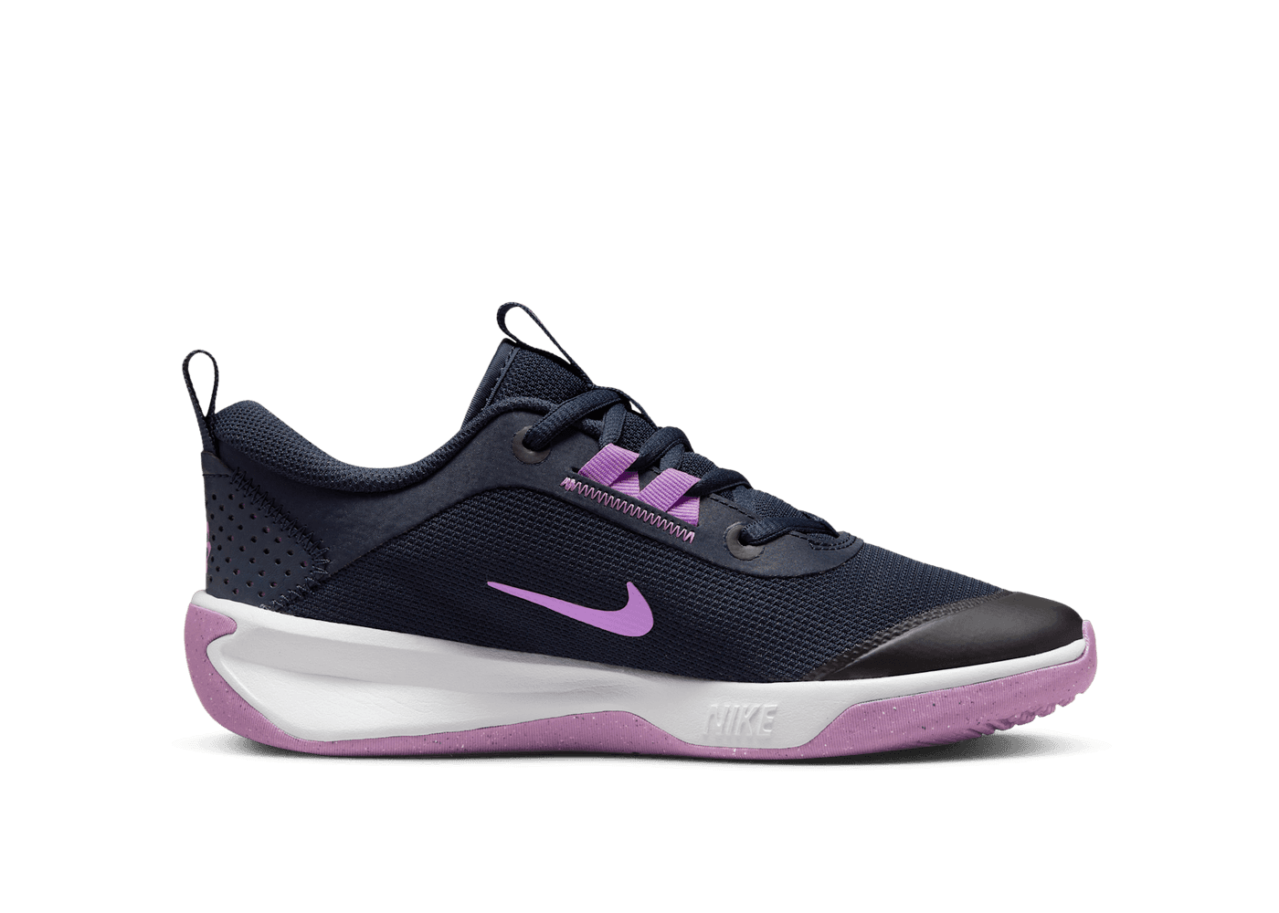 Nike Omni Multi-Court Indoor Court