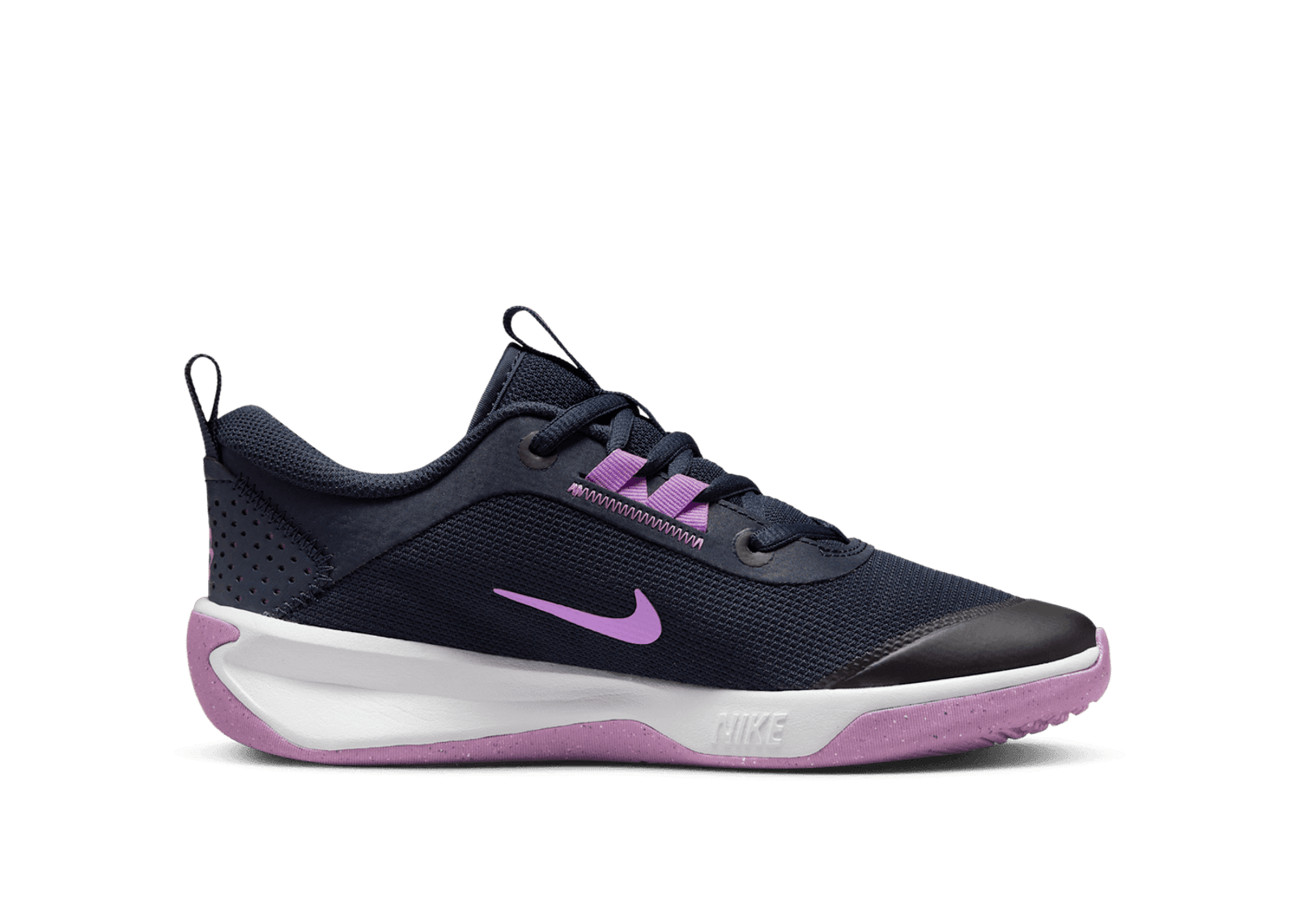 Nike Omni Multi-Court Indoor Court