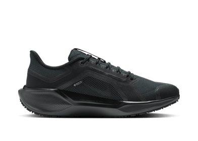 Nike Pegasus 41 GORE-TEX Waterproof Road