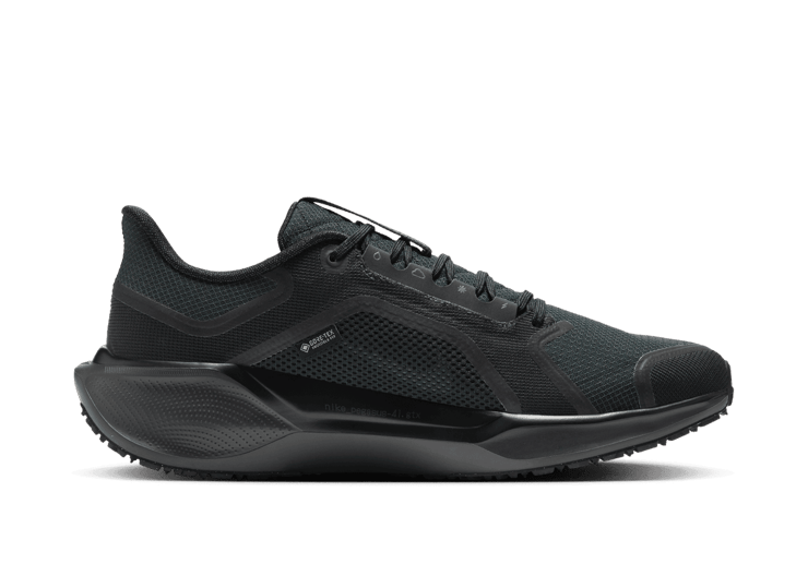 Nike Pegasus 41 GORE-TEX Waterproof Road