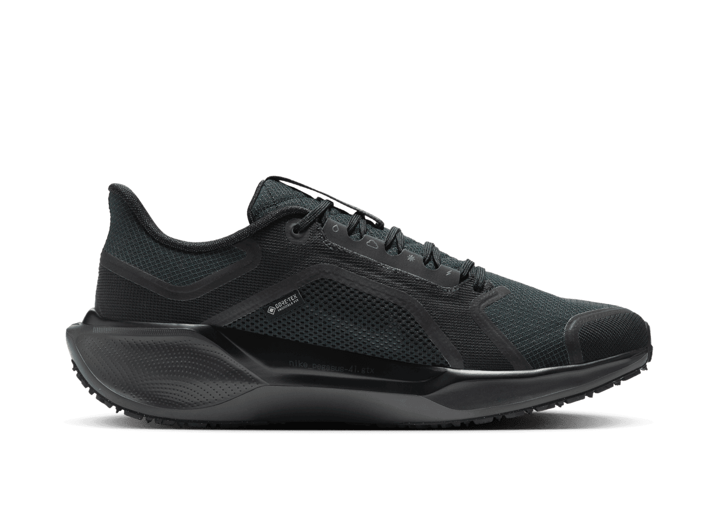 Nike Pegasus 41 GORE-TEX Waterproof Road