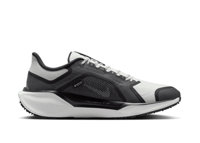 Nike Pegasus 41 GORE-TEX Waterproof Road