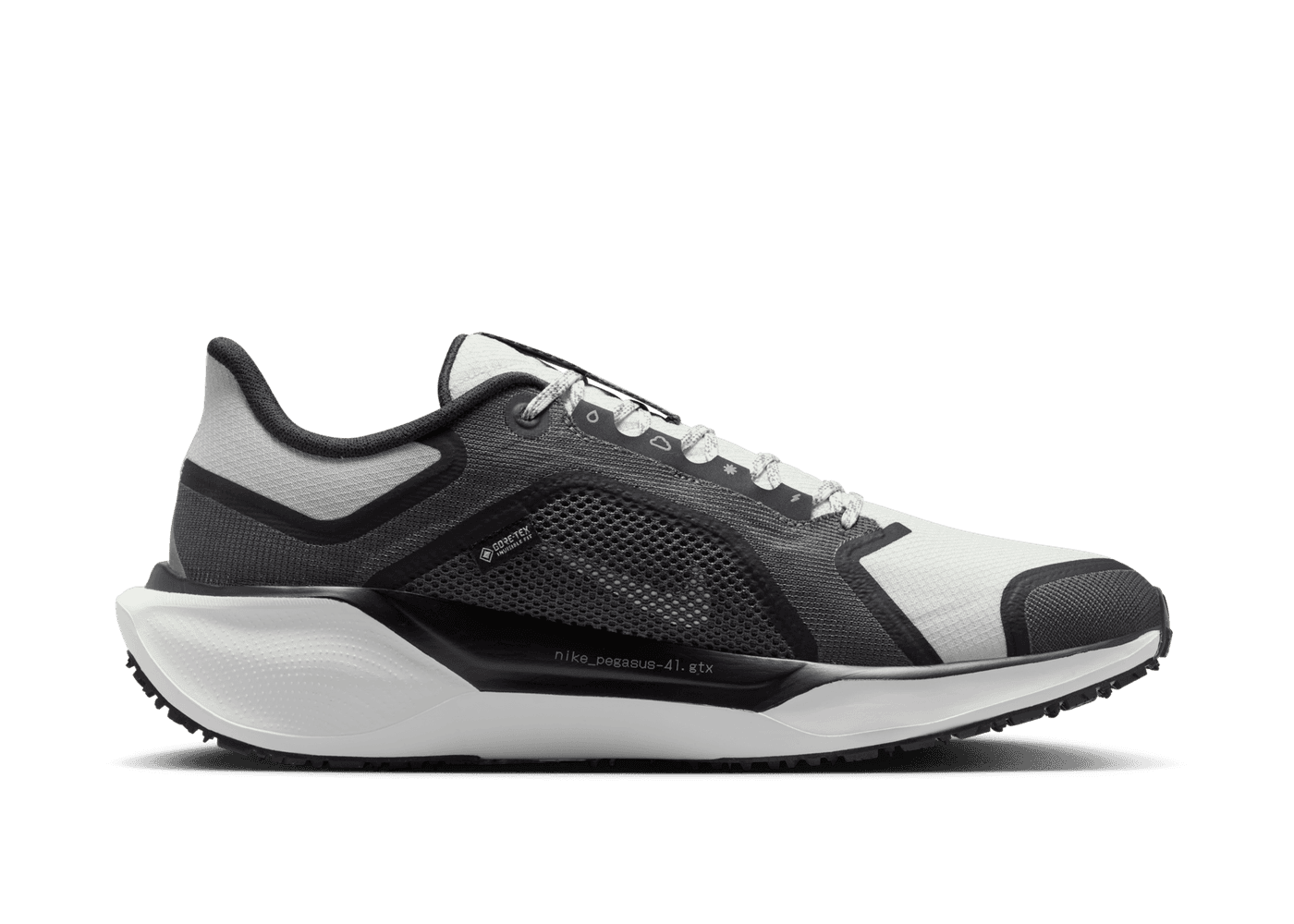 Nike Pegasus 41 GORE-TEX Waterproof Road